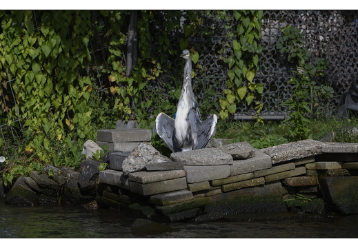 20250823-Sail-Sloeproeien-302